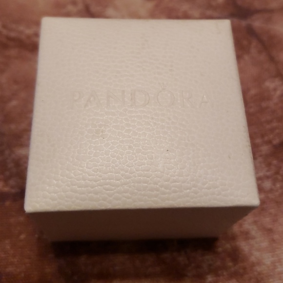 Pandora Charm - Picture 2 of 2